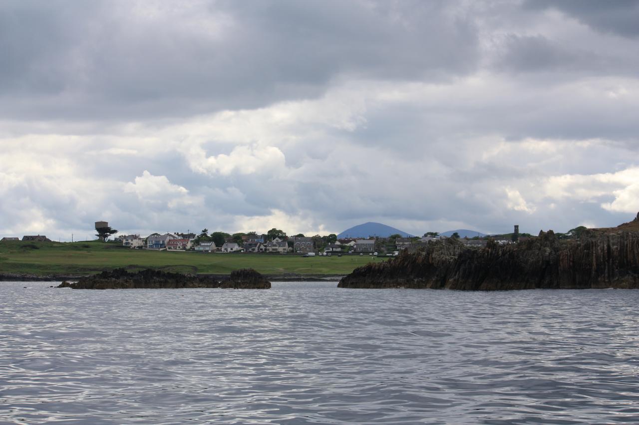Ringfad B&B Ardglass Bagian luar foto